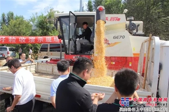 雷沃谷神开启今秋丰收季