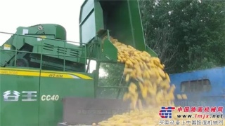 中聯重科穀王玉米收獲機，今秋“穗、粒”盡收