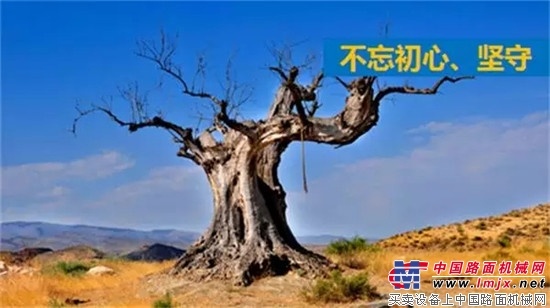 浴火重生：不忘初心，坚守
