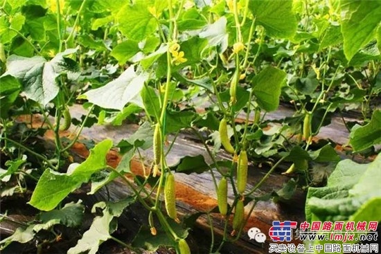 方圆工业旅游推出方圆员工优惠活动