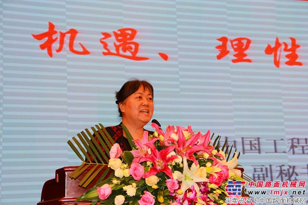  中国工程机械工业协会副秘书长江琳讲话
