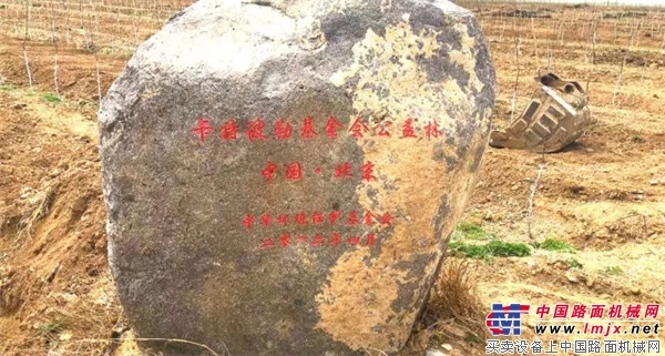 卡特彼勒公益：7年坚守，恒久的力量