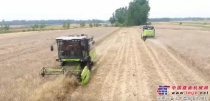 农业部部署小麦跨区机收 打造五型“三夏”