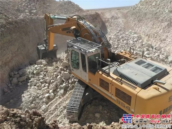 利勃海尔R954C交付北京凯盛阿尔及利亚阿德拉尔水泥项目