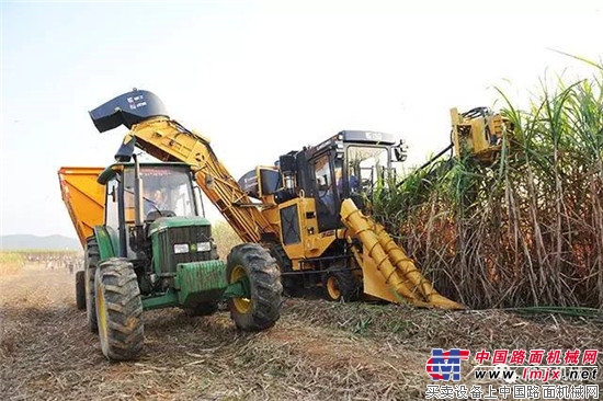 柳工甘蔗收获机挺进柬埔寨市场 再获一笔出口大单！ 