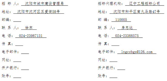 辽宁省胜利大街快速路—跨长白西路桥（兴岛路—胜利桥南桥头）工程招标公告