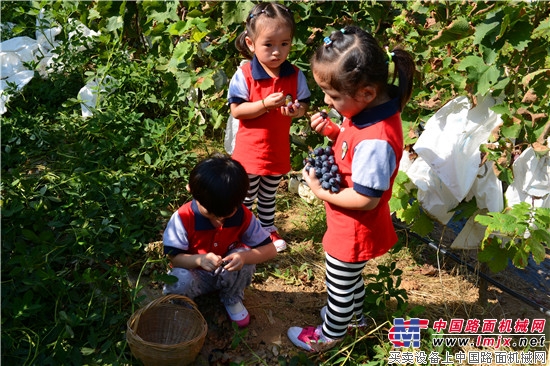 凤凰新城幼儿园“欢乐阳光亲子葡萄采摘”活动举行
