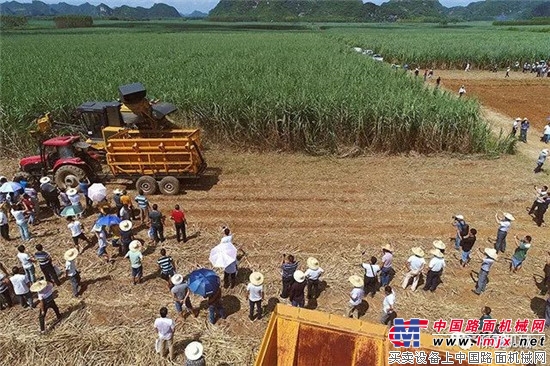 柳工甘蔗生產全程機械化產品受追捧！ 