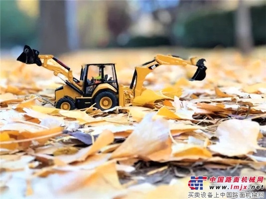 碧云天，秋风尽，“大黄车”遇上小黄叶......