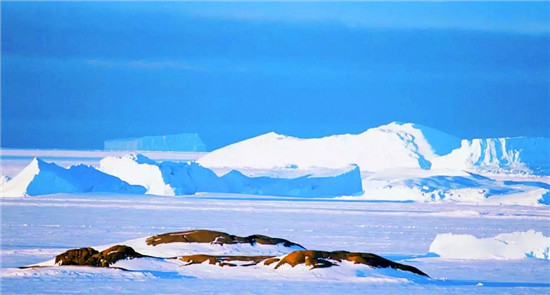超-50℃的极寒南极洲，徐工装载机演绎“冰雪奇缘”