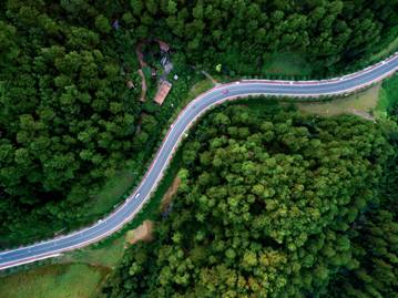 英达：这位公路界“男神”坚持25年，竟种树1500万棵……