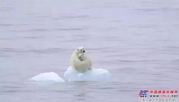 比亚迪：北极熊只有一个北极，人类只有一个地球！