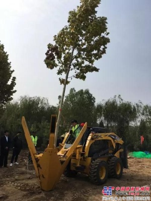 蓋爾：一分鍾挖一棵大樹 苗木花卉全程機械化現場演示會舉行
