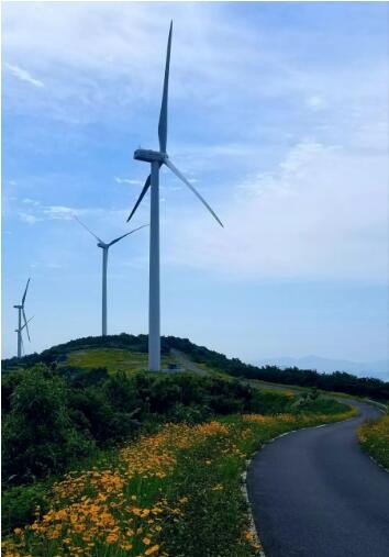 宁波一条风电工程道路 变身“最美鲜花风车公路”