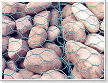 供应石笼网,六角网,格宾网,拧花网,镀锌铁丝网