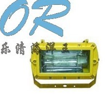 供应海洋王灯具，BFC8100，防爆灯，防爆泛光灯，强光泛光灯