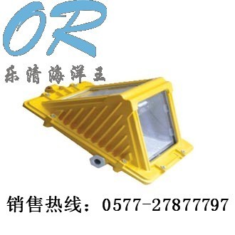 乐清海洋王提供－DGS70-127B（C）矿用隔爆型巷道灯 
