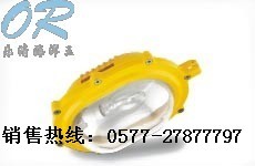 海洋王防爆灯BFC8120 海洋王强防爆灯投光灯BFC8120 海洋王照明公司B