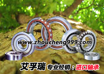 德国FAG进口角接触球轴承