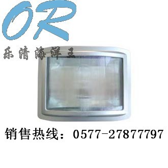NSC9720 NSC9720海洋王防眩通路灯 NSC9720海洋王公司