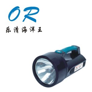供应海洋王 BW6100 防爆探照灯 