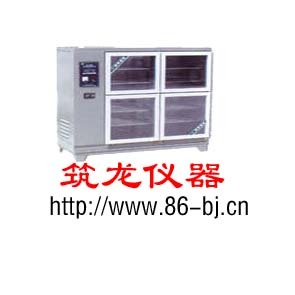 供应混凝土加速养护箱、水泥养护箱、水泥快速养护箱（筑龙仪器）
