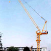 沈建FL25/30动臂式塔式起重机