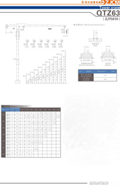 浙江建机 QTZ63(ZJT5010) 塔式起重机