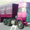唐鸿重工XT9402CLXD仓栅式半挂车